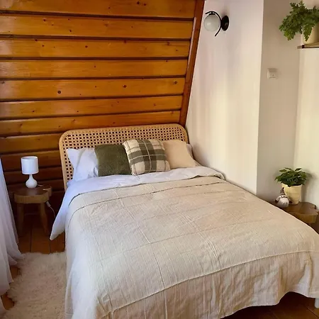 Bukowa Jezioro Zywieckie Beskid Zywiecki Slaski Sauna Jacuzzi Kominek Morsowanie Zywiec Szczyrk * 트레스나