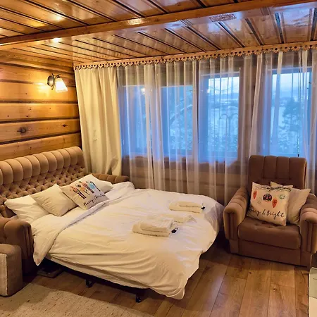 샬레 Bukowa Jezioro Zywieckie Beskid Zywiecki Slaski Sauna Jacuzzi Kominek Morsowanie Zywiec Szczyrk *