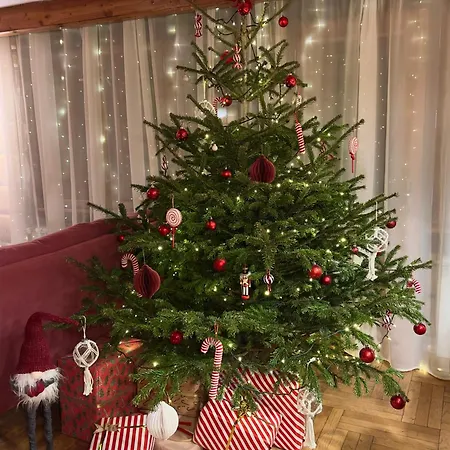 샬레 Bukowa Jezioro Zywieckie Beskid Zywiecki Slaski Sauna Jacuzzi Kominek Morsowanie Zywiec Szczyrk *