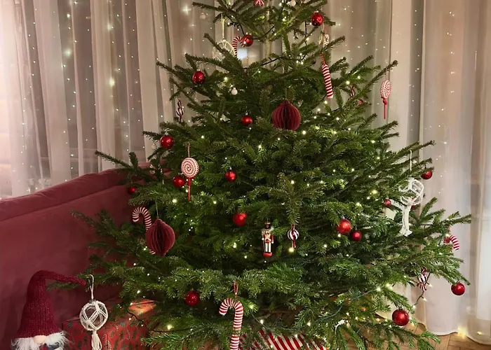 Horská chata Bukowa Jezioro Zywieckie Beskid Zywiecki Slaski Sauna Jacuzzi Kominek Morsowanie Zywiec Szczyrk *